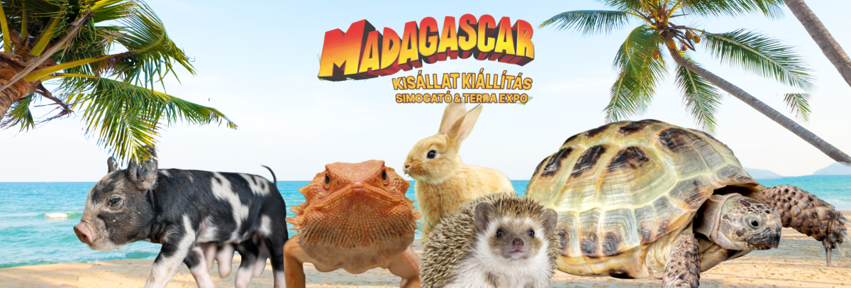 Kedvezmény borítókép